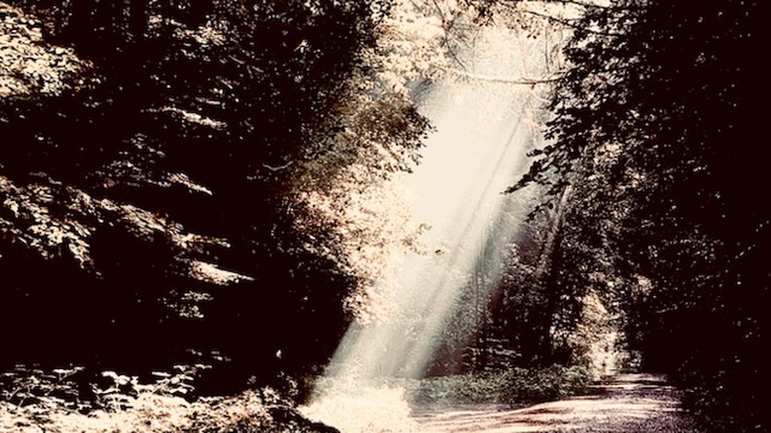 Reden in dunklen Zeiten