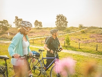 Durch die Natur - Fahrradwochen im Mai  - 4. Mai | Tour zur Müllverbrennungsanlage in Neustadt mit Start am Seebrückenvorplatz in Dahme